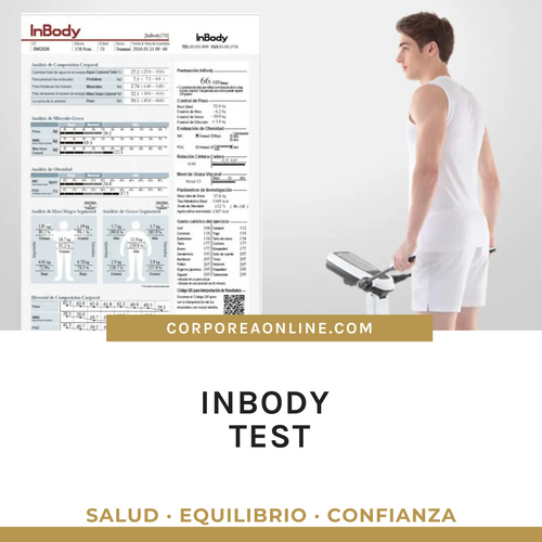 InBody test